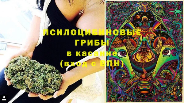 прущие крисы Заволжск