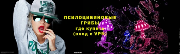 метамфетамин Ельня
