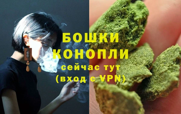ГАЛЛЮЦИНОГЕННЫЕ ГРИБЫ Елизово