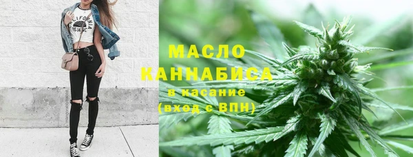 метамфетамин Ельня
